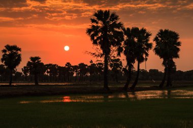Tayland 'da gün batımı. 