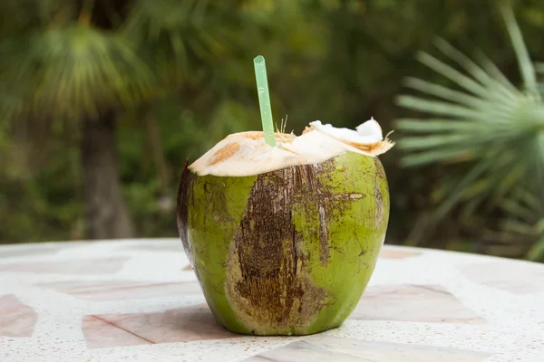 Coconut — Stock Photo, Image