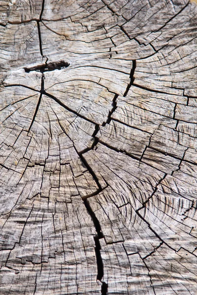 Oude houten planken achtergrond — Stockfoto