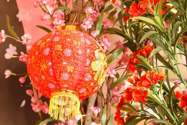 Čínské lucerny — Stock fotografie