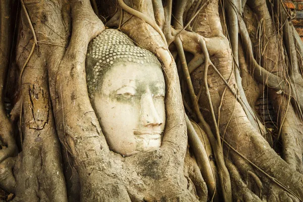 Testa di Buddha di Arenaria — Foto Stock