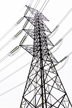 elektrik direkleri