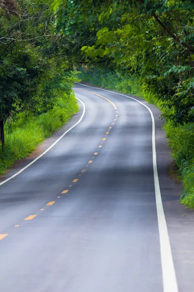 Yol — Stok fotoğraf