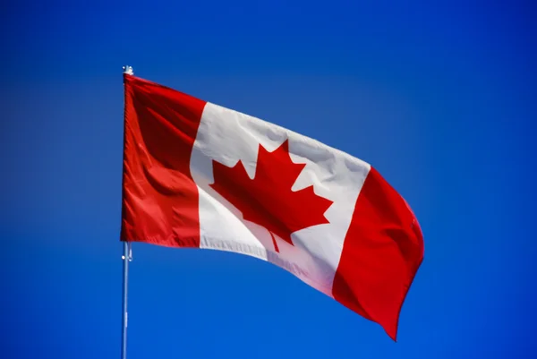 Bandiera del Canada Immagini Stock Royalty Free