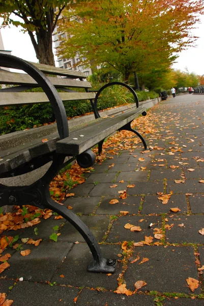 Banc d'essai — Photo