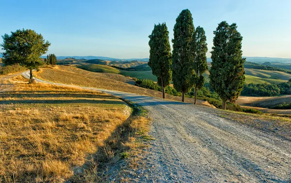 Country Road - Tuscany Stock Photo