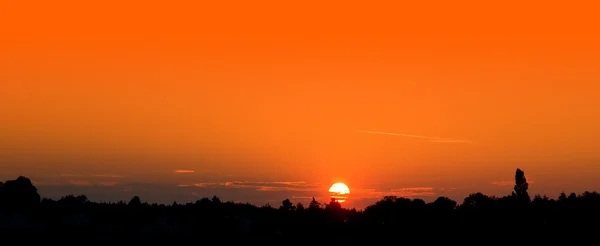 Sunset on Forest — Stock Photo, Image