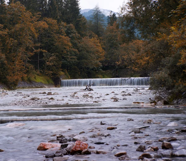 Mountain River in Indian Summer — Stock Photo, Image