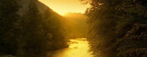 Rio Dourado — Fotografia de Stock