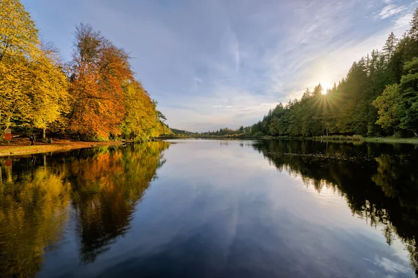 Malé jezero v podzimním lese — Stock fotografie