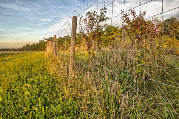 Fence in Fields — Stock Photo, Image