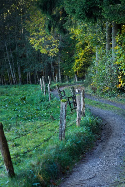 Modrá cesta — Stock fotografie