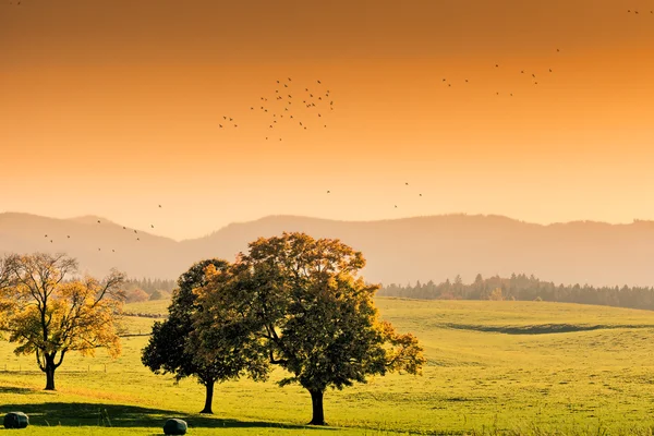 Herfst scène in de buurt van bergen — Stockfoto