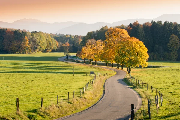 Kurvenreiche Landstraße durch herbstliche Landschaft — Stockfoto