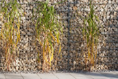 Çin reed ve gabion duvar