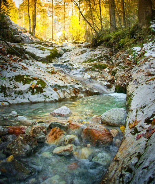 Horský potok — Stock fotografie