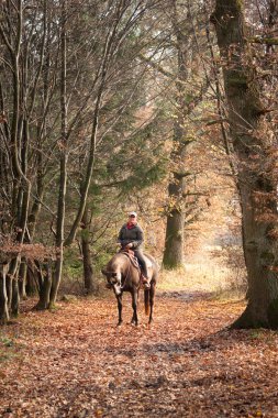 farytale orman yoluyla binmek