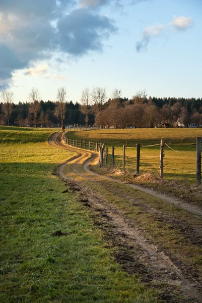 Footpath in Fields — Stock Photo, Image