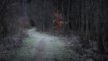 patika donmuş ot ile