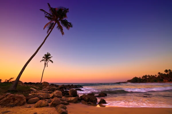 günbatımı palm Beach