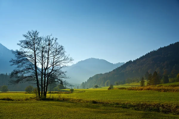 Herfst vallei — Stockfoto