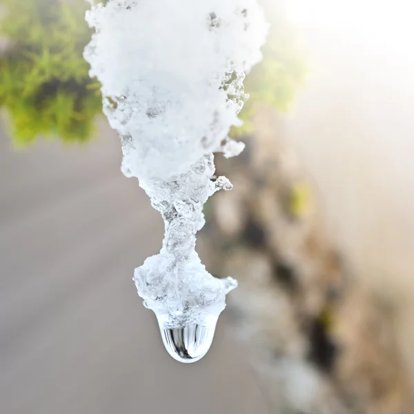 Melting Snow Flake — Stock Photo, Image