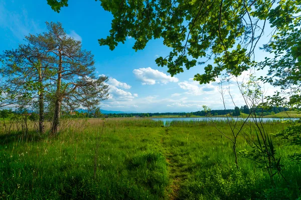 Stig till sjön — Stockfoto