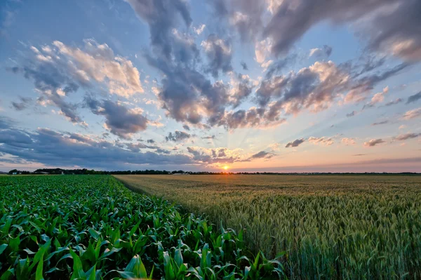 Zonsondergang op velden in de buurt van de stad — Stockfoto