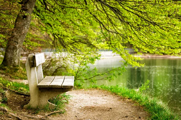 Empty Bench — Stock Photo, Image