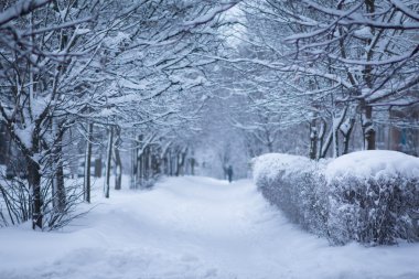 Kış yol ans kar yağışı