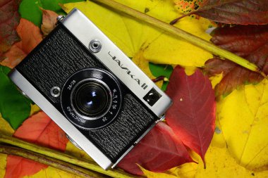 Camera on autumn leaves clipart