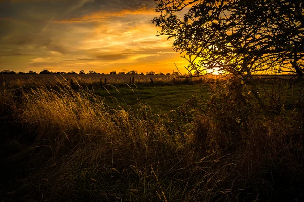Shropshire velden in de late zomer — Stockfoto