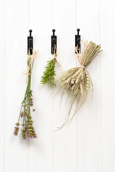 Drying Herbs & Lavender — Stock Photo, Image