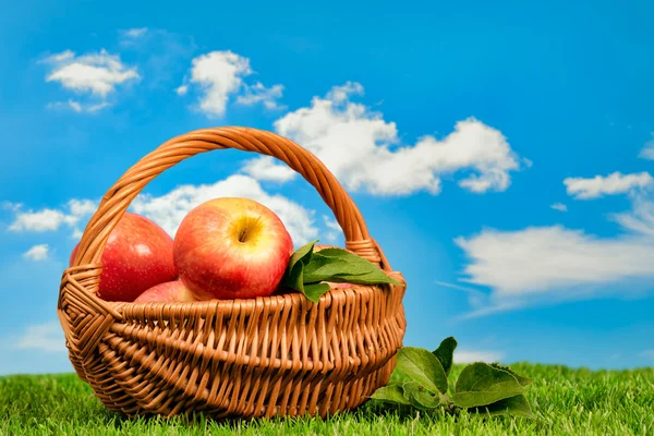 Basket Of Apples — Stock Photo, Image