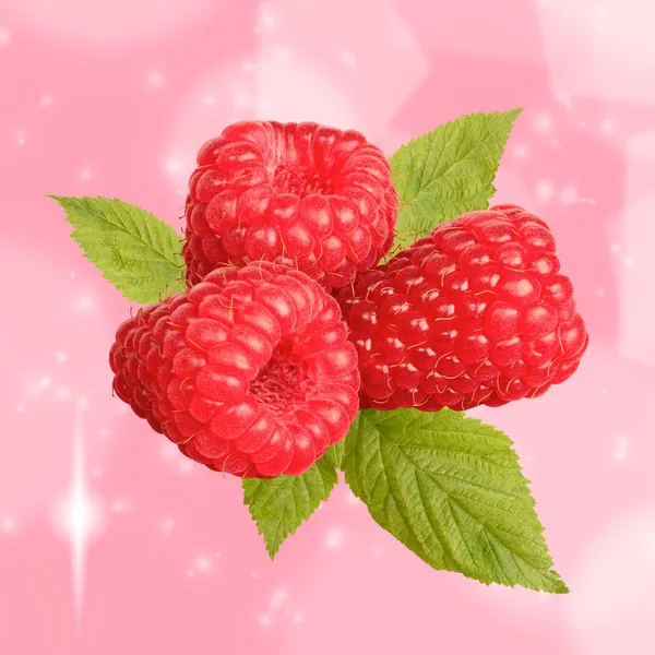 Raspberries — Stock Photo, Image