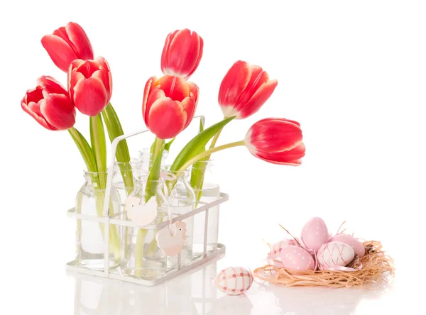 Pasen tulpen — Stockfoto