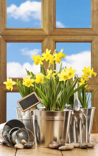 Våren fönster — Stockfoto