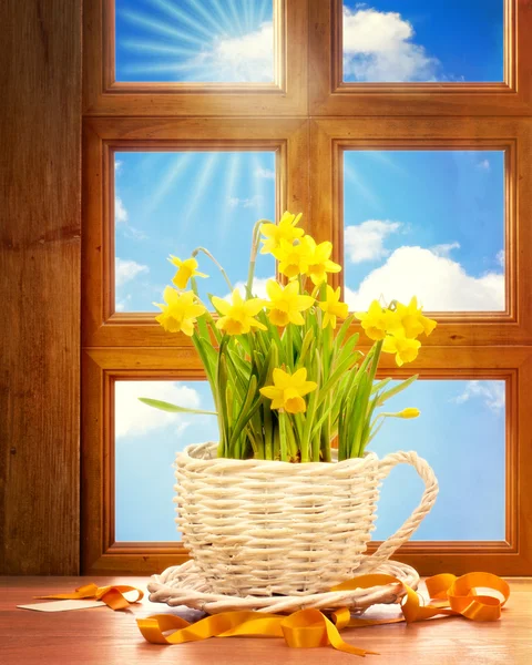 Jarní okno — Stock fotografie