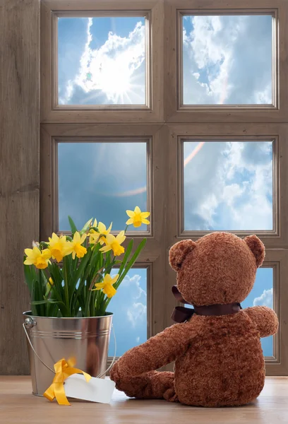 Spring Window — Stock Photo, Image