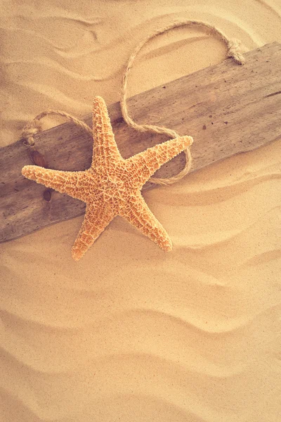 Tábua de couro — Fotografia de Stock