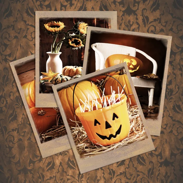 Halloween-Polaroids — Stockfoto