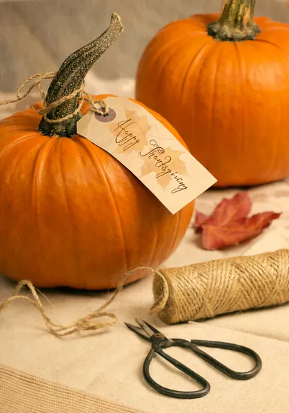 Calabazas para Acción de Gracias — Foto de Stock