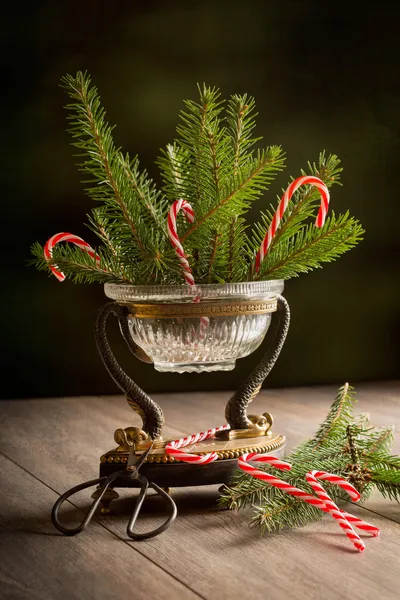 Рождественская сосна — стоковое фото