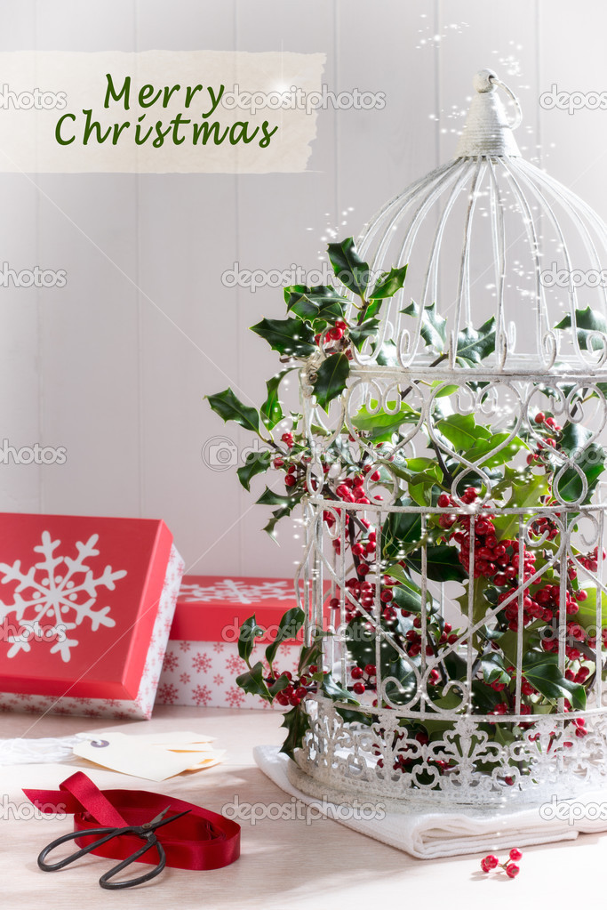 Holiday Birdcage Stock Photo C Springfield 35793281