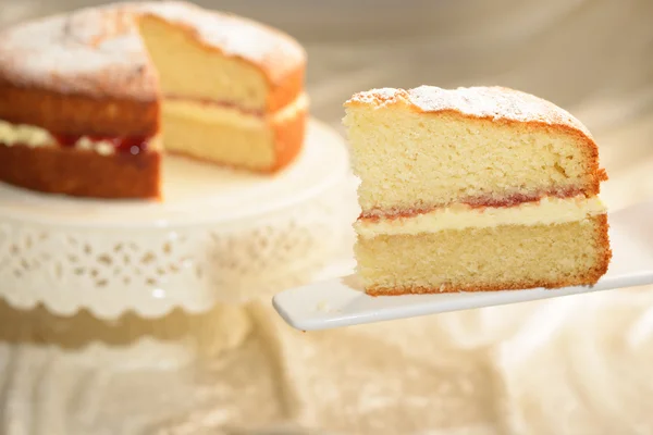 Ein Stück Kuchen — Stockfoto