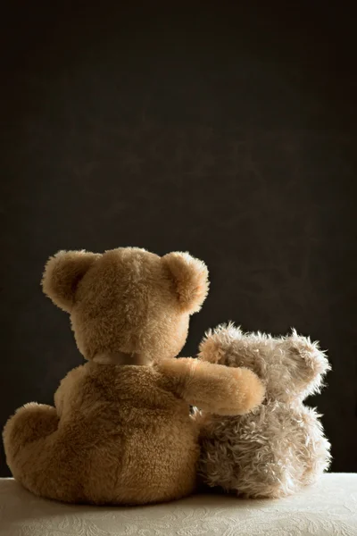 Dos osos de peluche —  Fotos de Stock