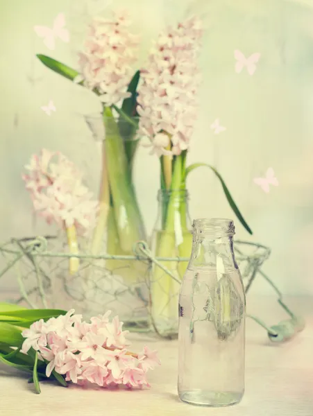 Hyacinth Arrangement — Stock Photo, Image