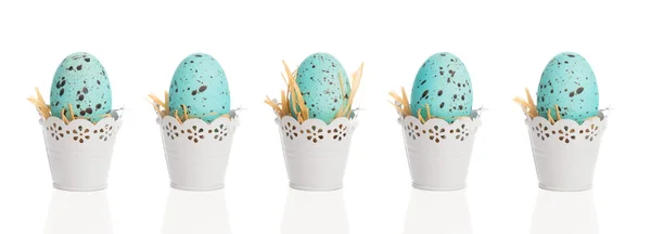 Blue Speckled Eggs — Stock Photo, Image