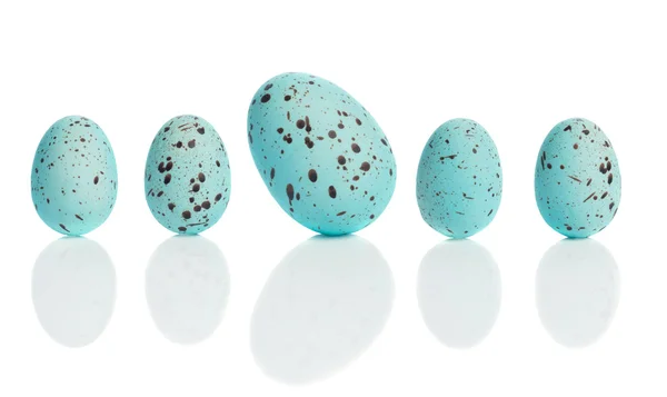 Row Of Eggs — Stock Photo, Image