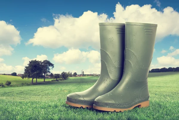 Wellington Boots — Stock Photo, Image